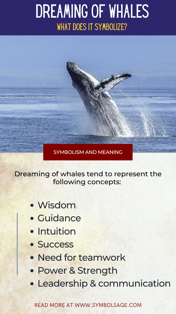 Sonhos sobre baleias - Interprete agora!