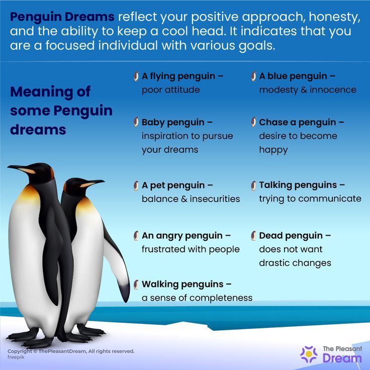 Pinguim Significado do sonho & interpretação - Você precisa de um abraço!