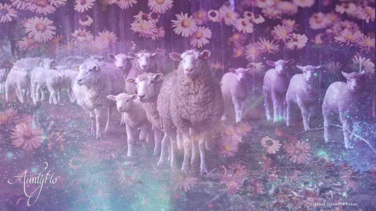 Sheep Dream Dictionary: Interprete agora!