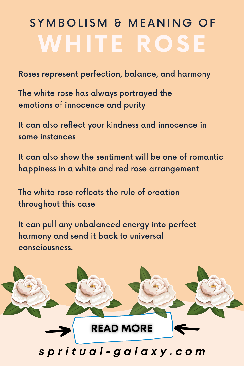 Rosa Branca Significado - Simbolismo e Significado Espiritual